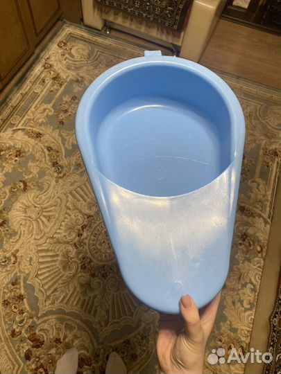 Утка медицинская