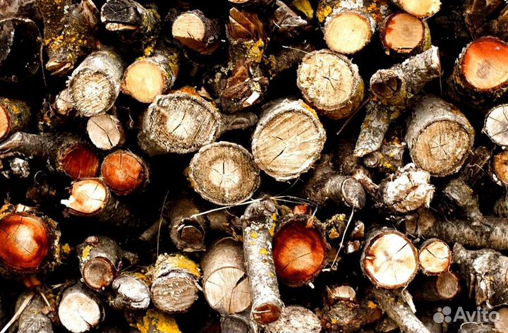 Дрова самовывоз