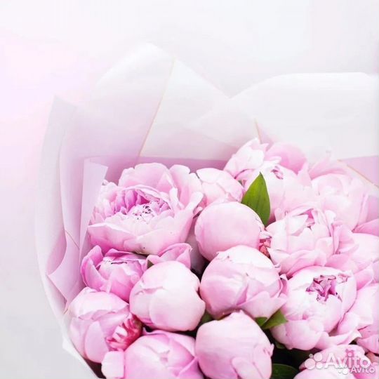 Букет свежих пионов