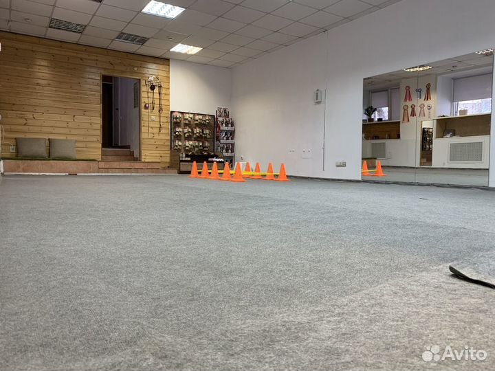 Дрессировка, груминг, подготовка к выставке