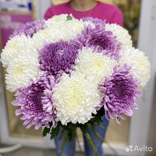 Хризантема одноголовая Иркутск