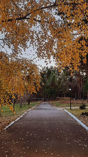 Гараж, 24 м²