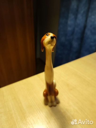 Коллекция собак