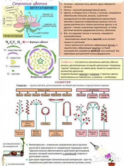 Супер книга для подготовки к ЕГЭ по биологии