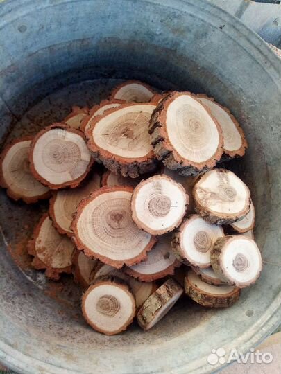 Спилы дерева