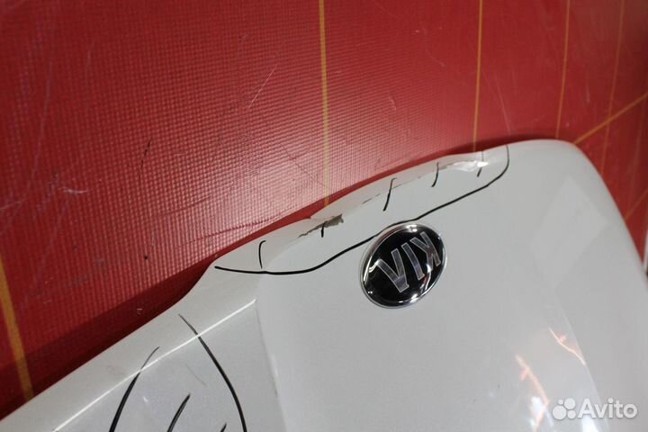 Капот Kia K5
