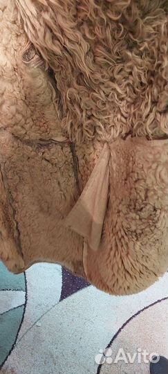 Дубленка натуральная мужская 48 50 размер