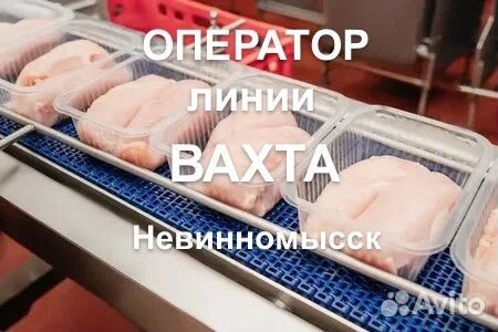 Упаковщик фасовщик/вахта с питанием