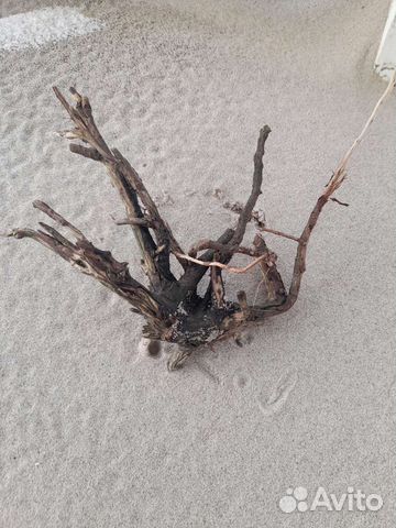 Коряга в террариум