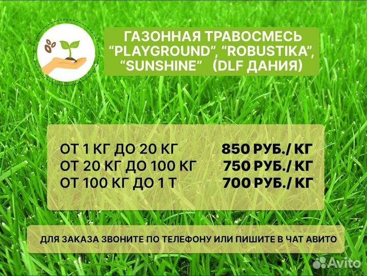 Семена газонной травы (Дания) playground