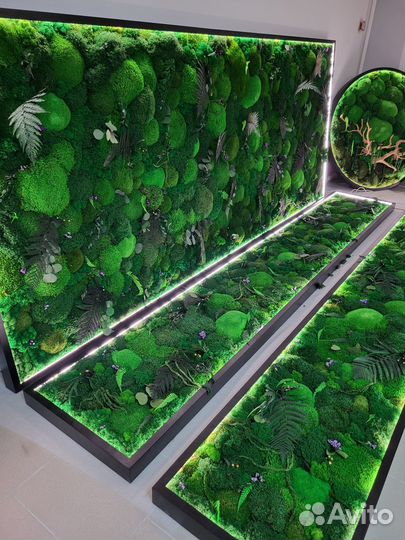 Озеленение гостиниц кафе магазинов декор