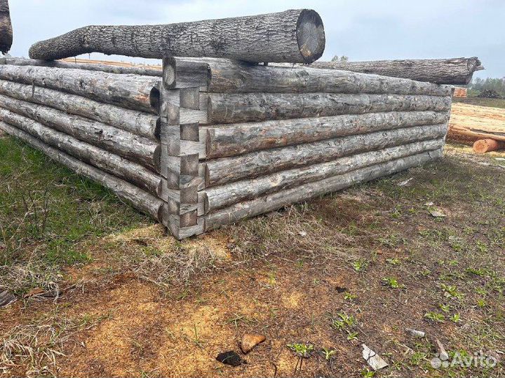 Сруб для бани 5х5