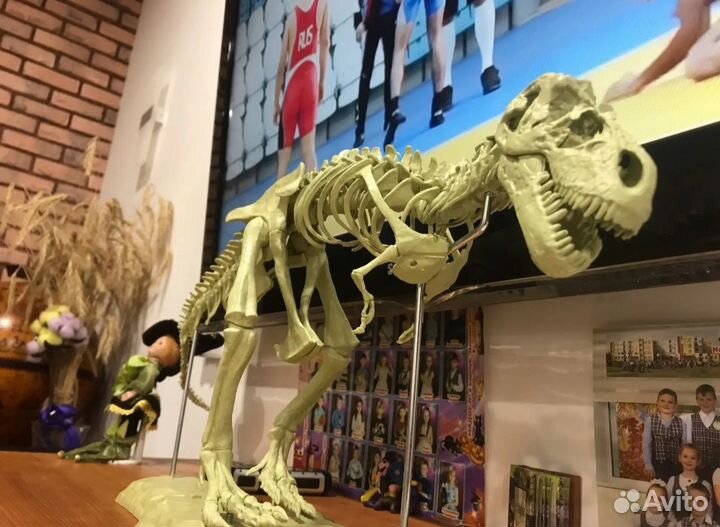 Скелет динозавра модель конструктор 70см