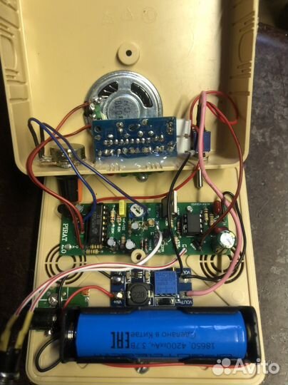 Металлоискатель пират