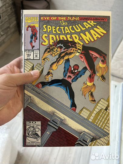 Spectacular spider man