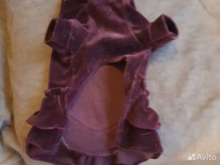 Дождевик для маленькой собаки