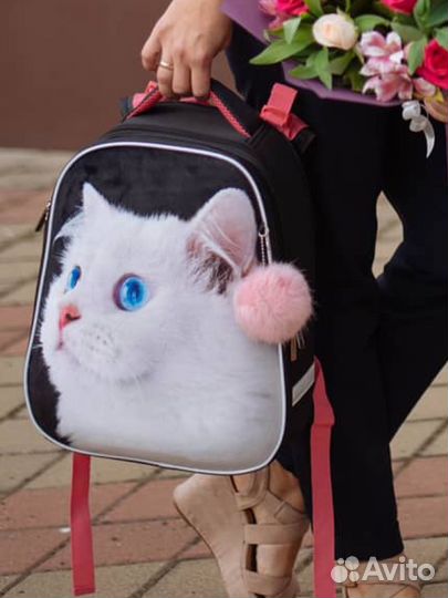 Портфель Hatber