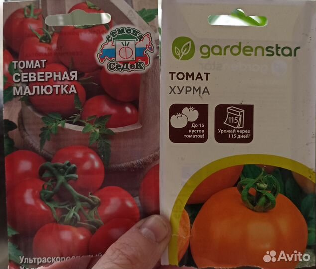 Рассада томатов и перцев
