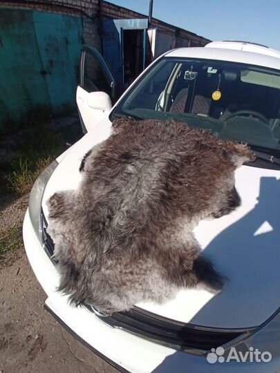 Ковры из овчины