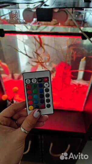 Аквариум 100л под ключ