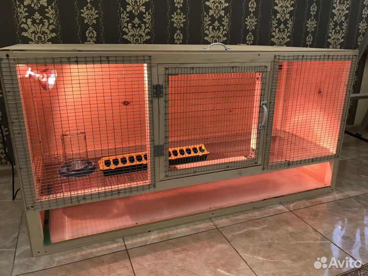 Брудер для цыплят