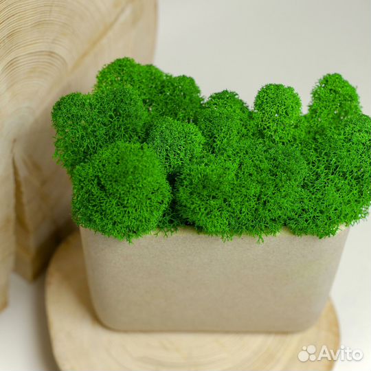 Стабилизированный ягель 100 гр