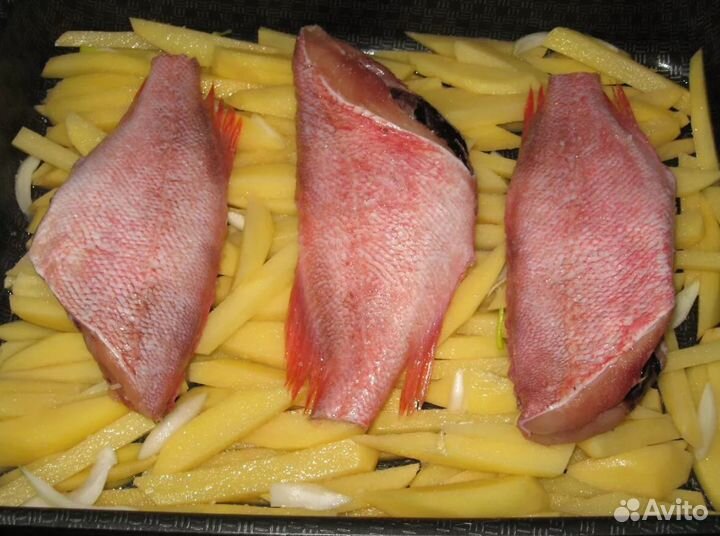 Морской окунь