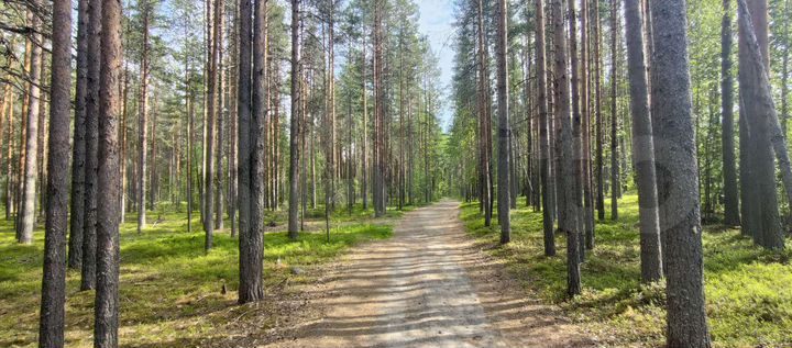 Дом 90 м² на участке 3,9 га