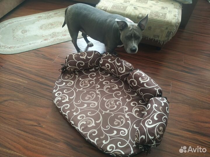 Лежанка для собак бу