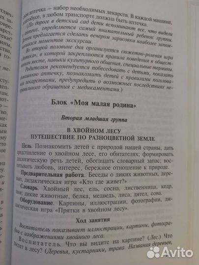 Нравственно-патриотическое воспитание детей