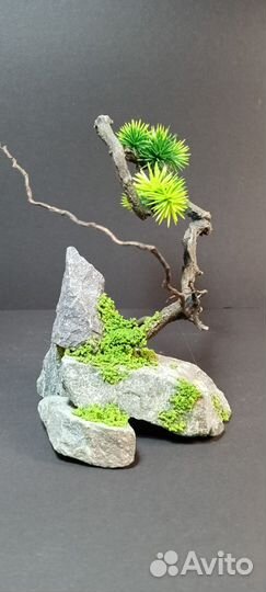 Дерево бонсай подарок