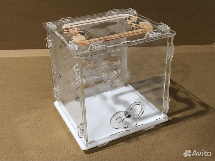 Формикарий / муравьиная ферма