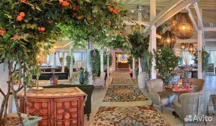 Официант в г.Петергоф (еженедельные выплаты)