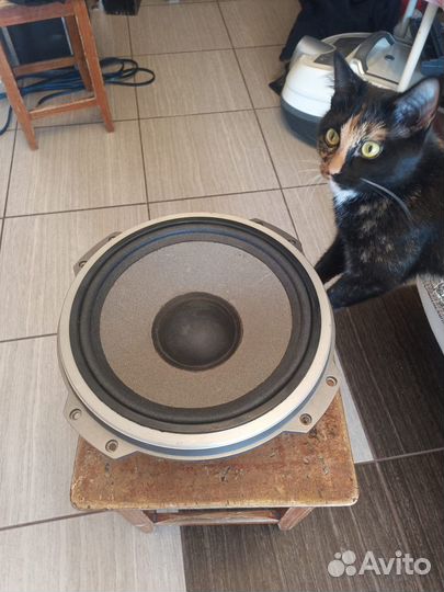 Электроника 100ас 060