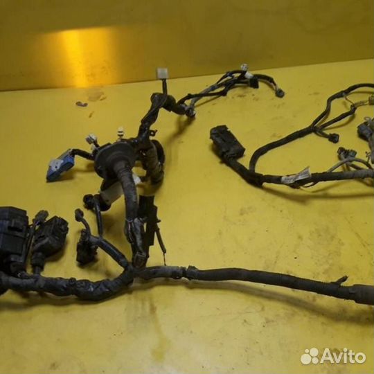 Проводка моторного отсека Хонда Срв 3 (2009-2012)