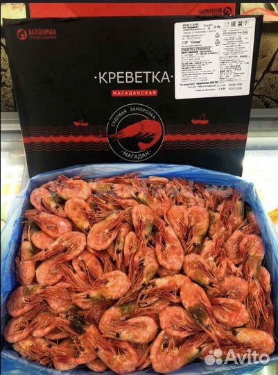 Креветка магаданская
