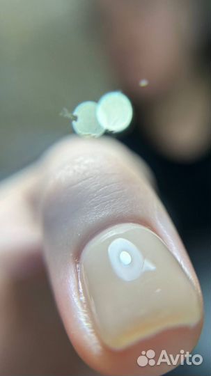 Маникюр гель лак