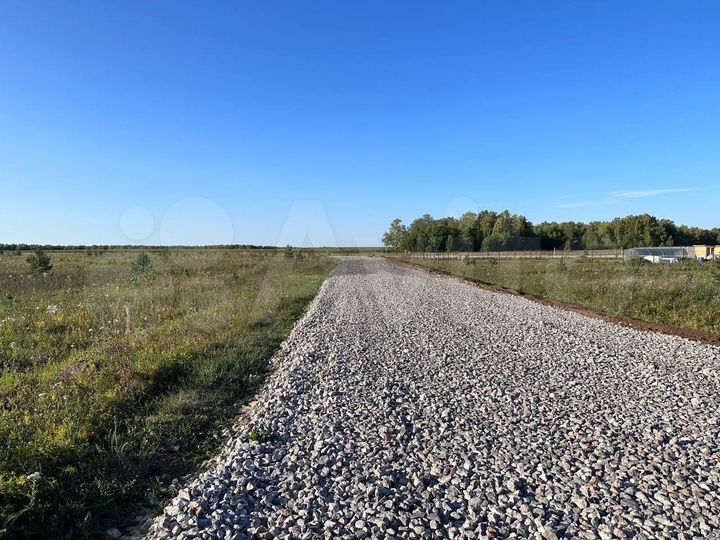 Участок 41,2 сот. (СНТ, ДНП)