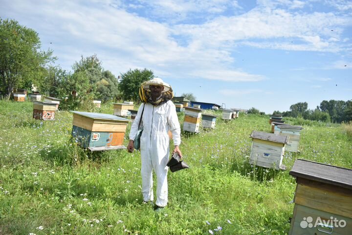 Натуральный мёд, мёд домашний, мёд в Томске купить