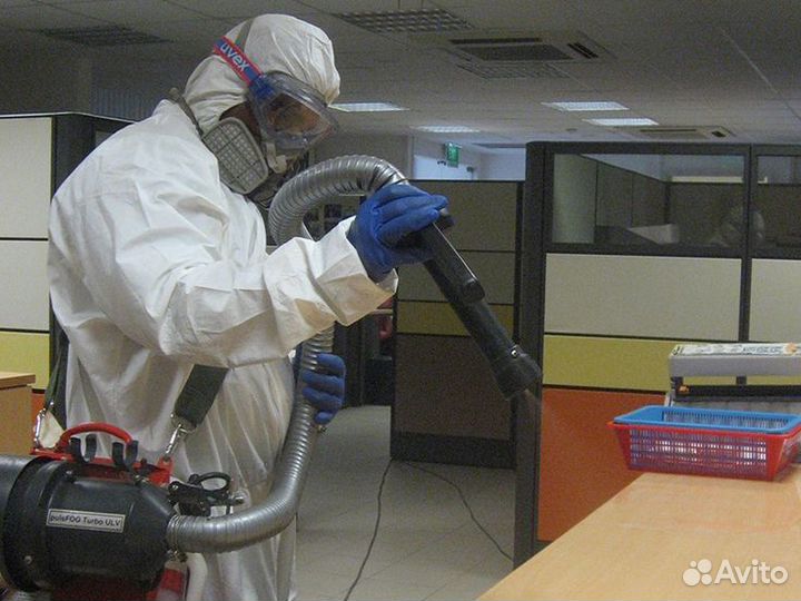 Избавление от насекомых