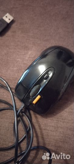 Мышь проводная
