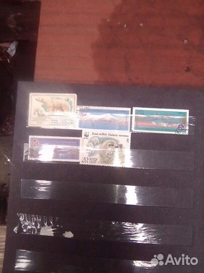 Коллеционная этикетка