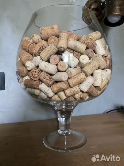 Аквариум рюмка