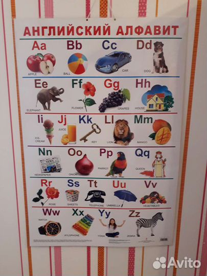 Учебный плакат