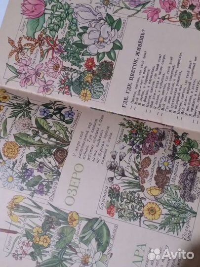 Книга про цветы