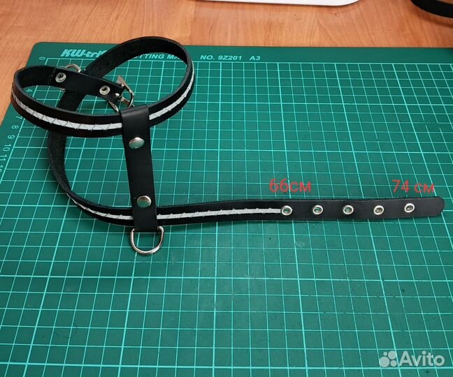 Кожаная шлейка с поводком