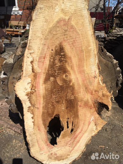 Слэб лофт свайс спил клен сухой