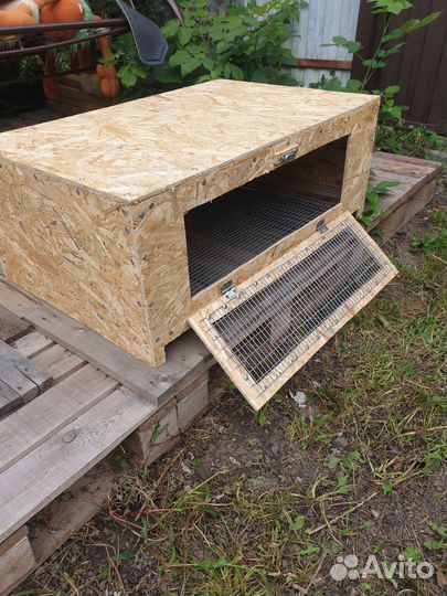 Брудер для цыплят (перепелов )