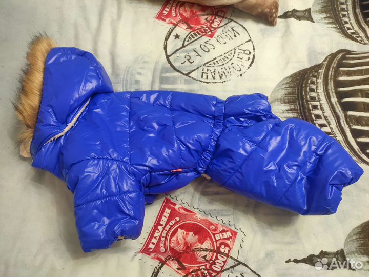 Одежда и обувь для собак средних пород