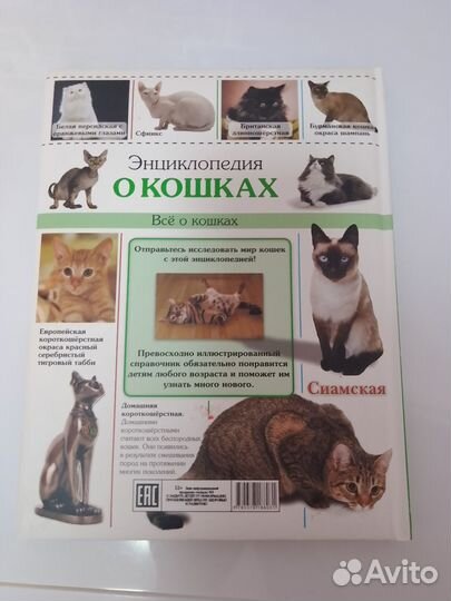 Энциклопедия про кошек